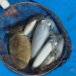 和丸(三重) 釣果