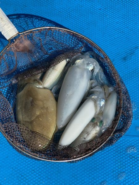 和丸（三重） 釣果