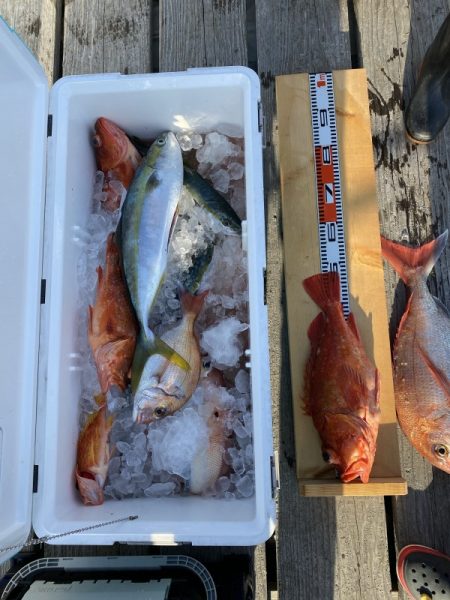 和丸（三重） 釣果