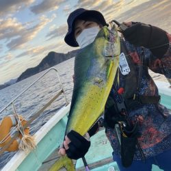 シードリーム 釣果