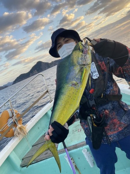 シードリーム 釣果