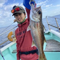 シードリーム 釣果