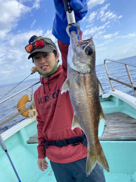 シードリーム 釣果