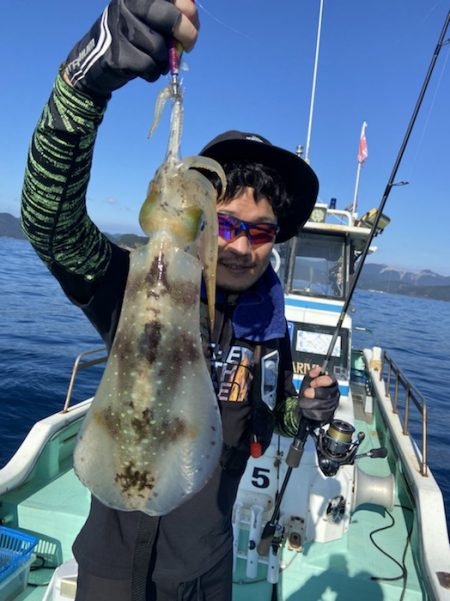 シードリーム 釣果