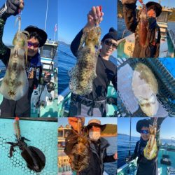 シードリーム 釣果