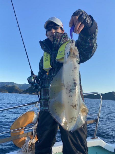 シードリーム 釣果