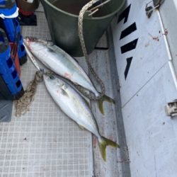 シーモンキー 釣果