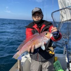 シーモンキー 釣果