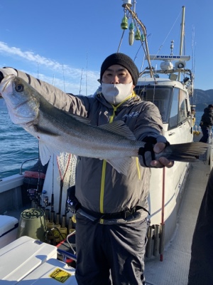 シーモンキー 釣果