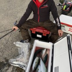 シーモンキー 釣果