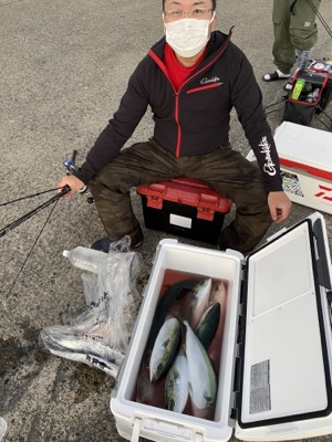 シーモンキー 釣果