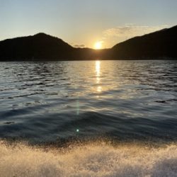 シーモンキー 釣果