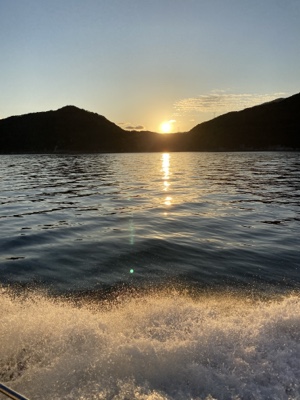 シーモンキー 釣果