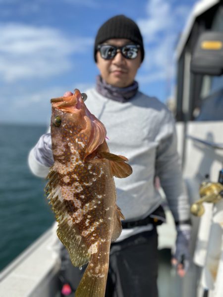 リトルワン 釣果