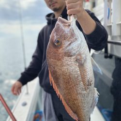 リトルワン 釣果