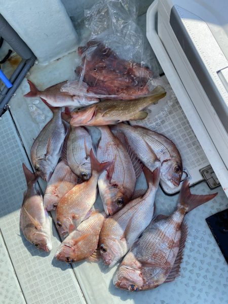 リトルワン 釣果