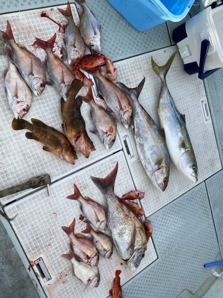 リトルワン 釣果