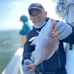 リトルワン 釣果