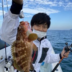 リトルワン 釣果