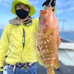 リトルワン 釣果