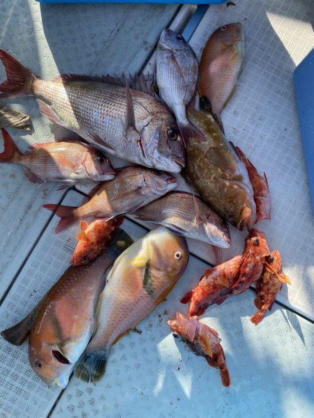 リトルワン 釣果