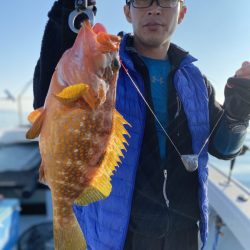 リトルワン 釣果