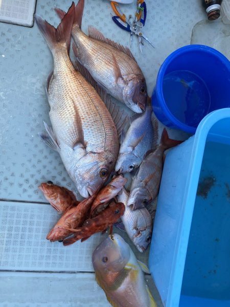 リトルワン 釣果