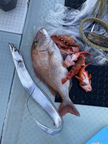 リトルワン 釣果