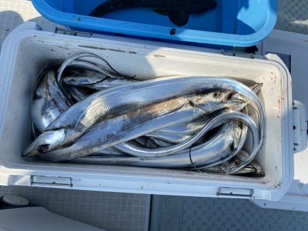 リトルワン 釣果