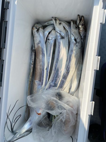 リトルワン 釣果