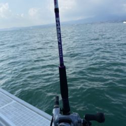 リトルワン 釣果