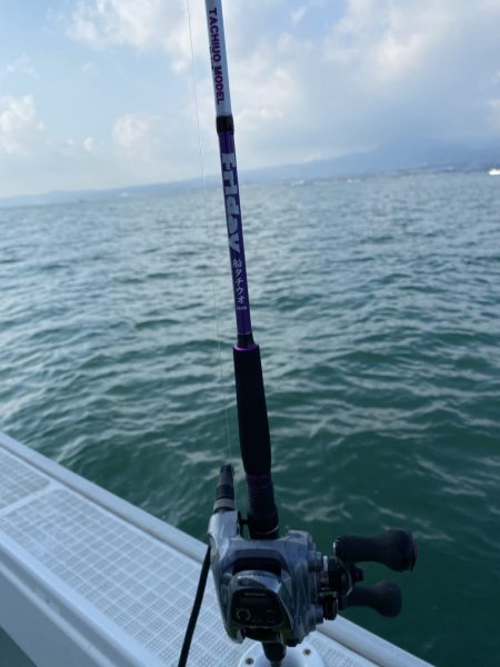 リトルワン 釣果