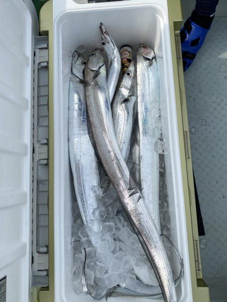 リトルワン 釣果