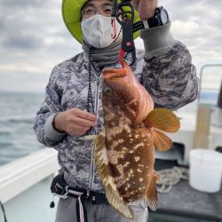 リトルワン 釣果