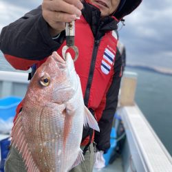 リトルワン 釣果