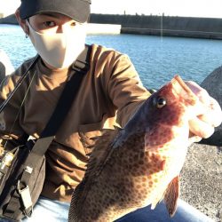 魚種限定解除ライトゲーム【がまかつ LUXXE宵姫　インプレッション】