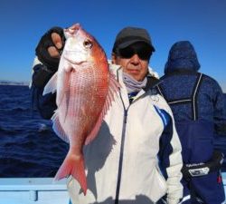 東京湾探釣隊ぼっち 釣果