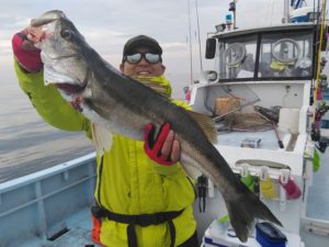 東京湾探釣隊ぼっち 釣果