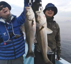 東京湾探釣隊ぼっち 釣果