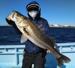 東京湾探釣隊ぼっち 釣果