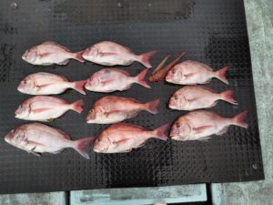 東京湾探釣隊ぼっち 釣果