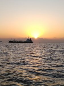 東京湾探釣隊ぼっち 釣果