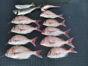 東京湾探釣隊ぼっち 釣果