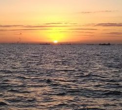 東京湾探釣隊ぼっち 釣果