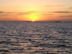 東京湾探釣隊ぼっち 釣果