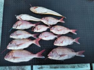 東京湾探釣隊ぼっち 釣果