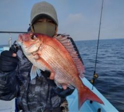 東京湾探釣隊ぼっち 釣果