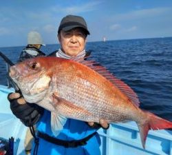 東京湾探釣隊ぼっち 釣果