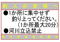 秩父フライフィールド 釣果