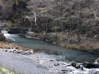 秩父フライフィールド 釣果